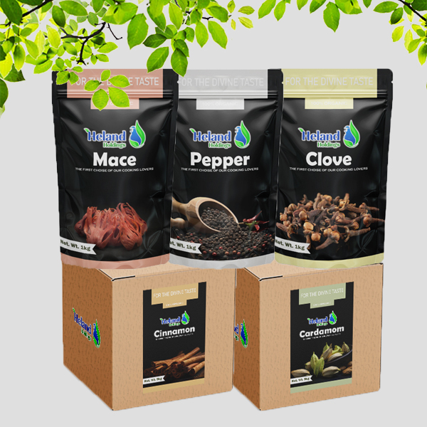 SPICES BUDGET PACK 2
